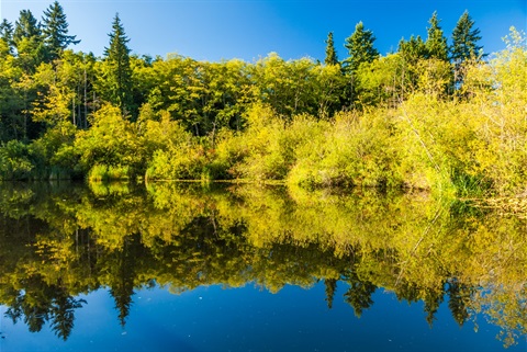 Scriber Lake