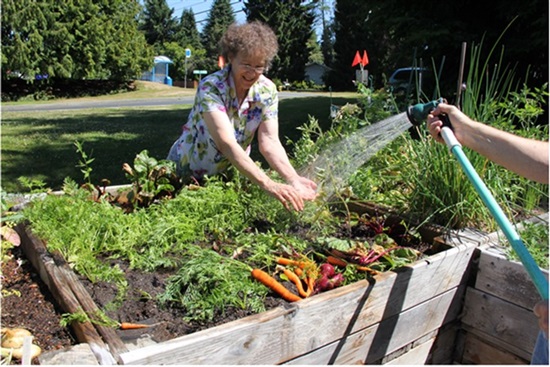 Garden - Jan.jpg