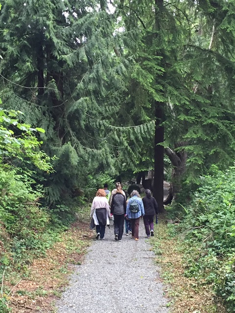 Lynnwood Walks Summer Walk Through a Trail
