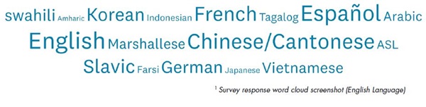 Survey Languages.JPG