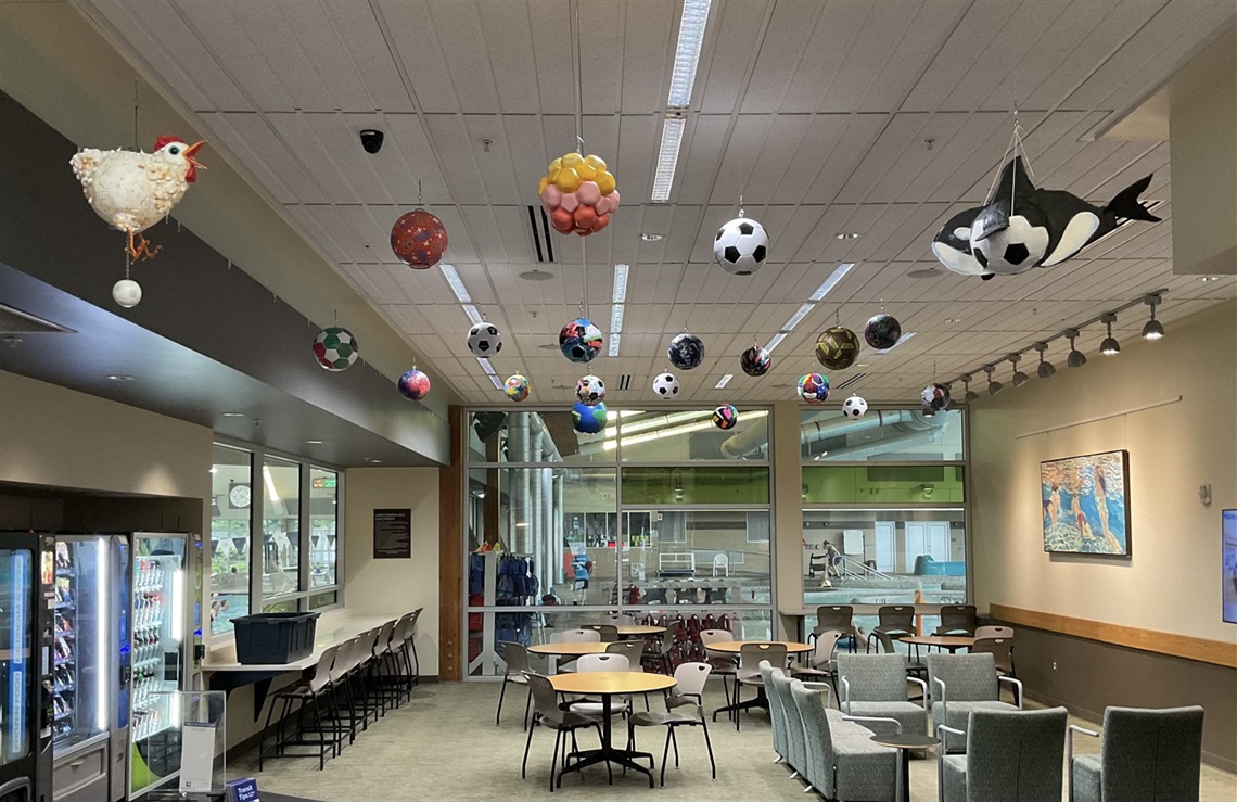 SoccerBallsPic.jpeg