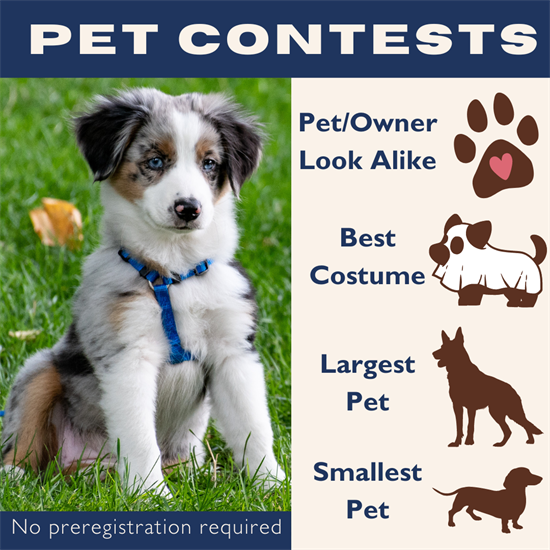 Pet Contest.png