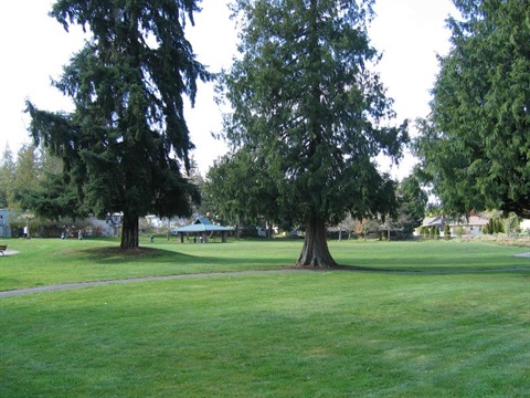 North Lynnwood Park