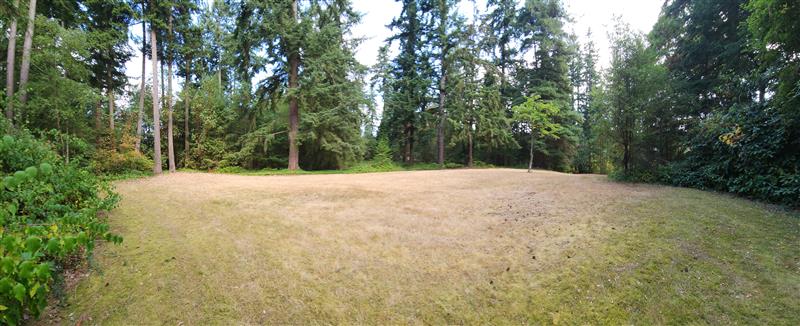Pano of park.jpg