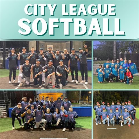 Adult Softball Web Image.png