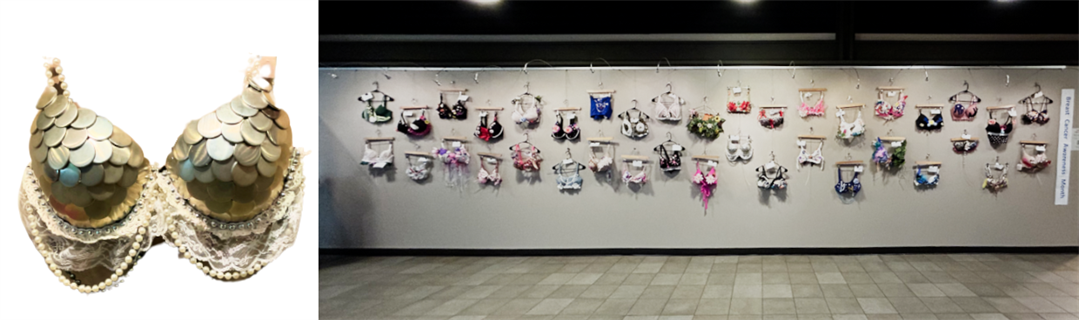 bra-gallery.png